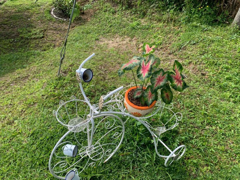Cabana En Boquia 살렌토 외부 사진