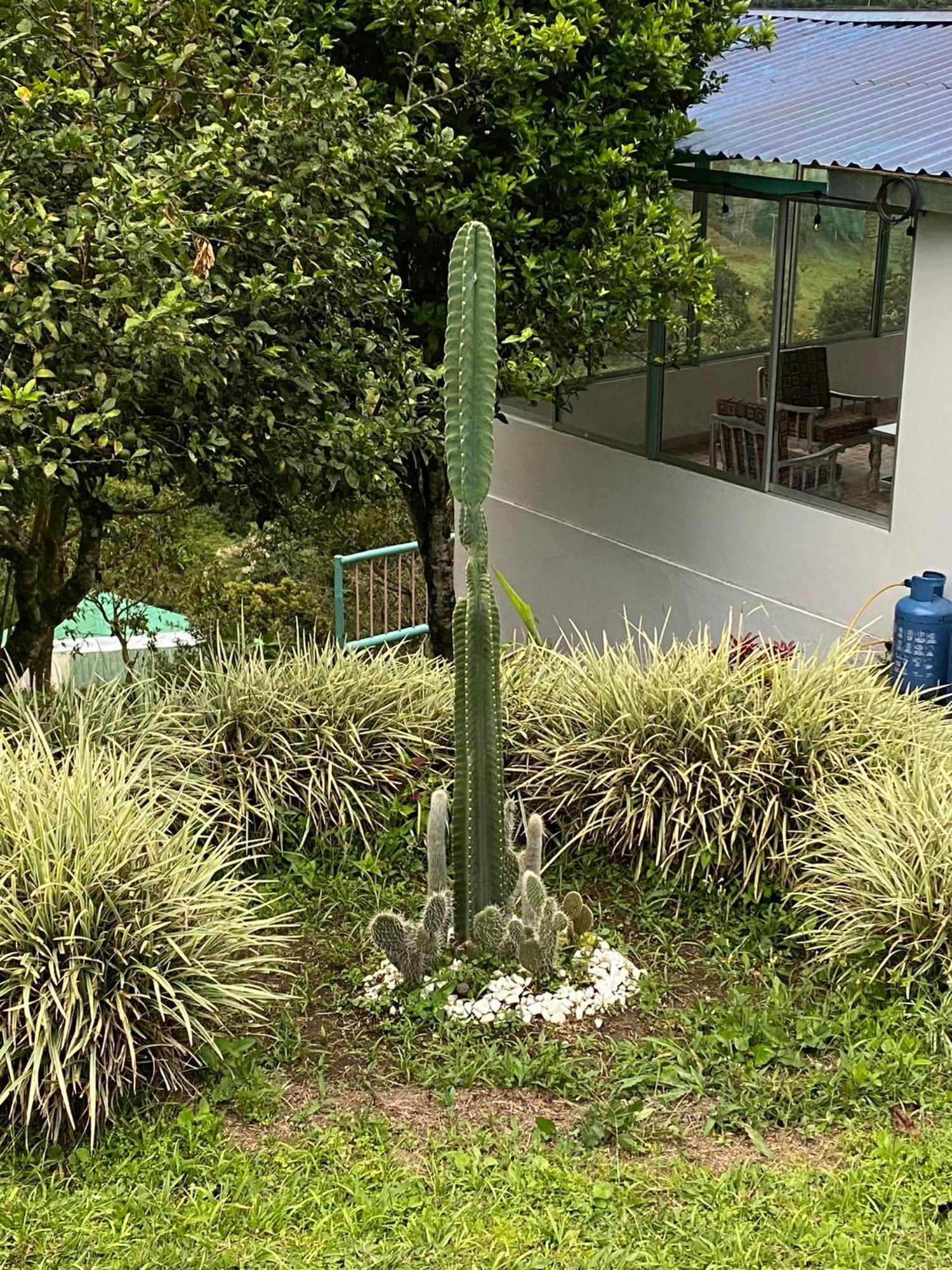 Cabana En Boquia 살렌토 외부 사진